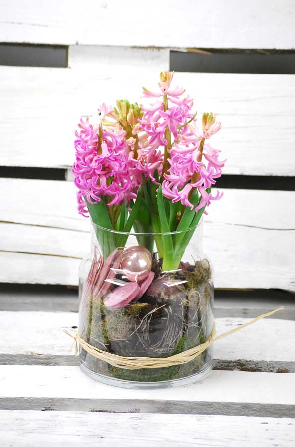 comprar flores en Pamplona