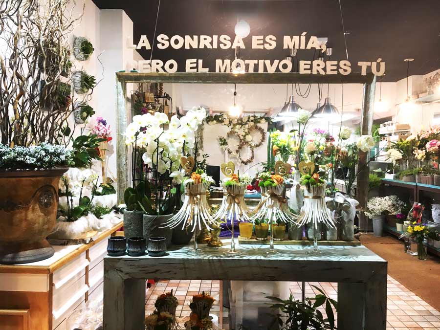 Floristería en Iruña