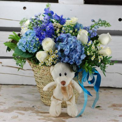 flores para nacimientos-3 flores para nacimientos 3