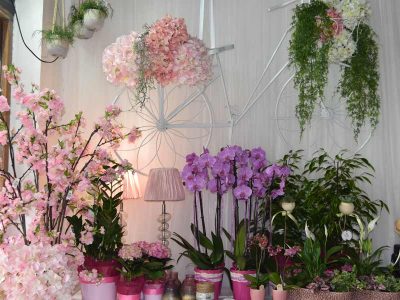 Floristería en Navarra