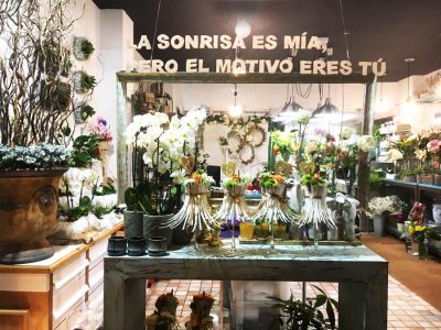 Floristería en Iruña