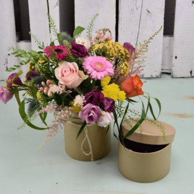 recien nacidos recien nacidos