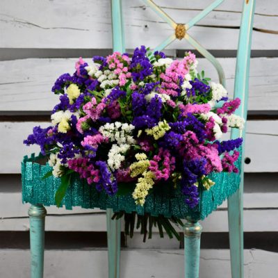 Siemprevivas en Pamplona Siemprevivas en Pamplona